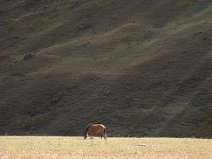 Pioniertour 2, Tibet - China (Lhasa-Chengdu) - Foto 76