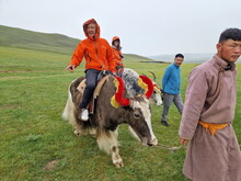 Mongolei 2023, Teil 1: Adler und Pferde, Westmongolei - Foto 92