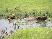 Trans-Afrika (Ost-West) 2013 - Foto 57
