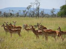Trans-Afrika (Ost-West) 2013 - Foto 76