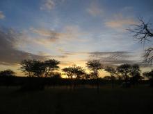 Trans-Afrika (Ost-West) 2013 - Foto 78