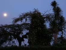 Trans-Afrika (Ost-West) 2013 - Foto 141