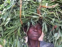 Trans-Afrika (Ost-West) 2013 - Foto 180