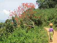 Trans-Afrika (Ost-West) 2013 - Foto 191