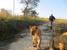 Trans-Afrika (Ost-West) 2013 - Foto 296