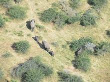 Trans-Afrika (Ost-West) 2013 - Foto 335