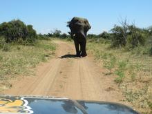 Trans-Afrika (Ost-West) 2013 - Foto 352