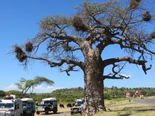 Trans-Afrika (Ost-West) 2013 - Foto 356