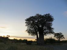 Trans-Afrika (Ost-West) 2013 - Foto 357