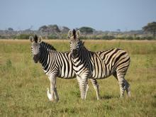 Trans-Afrika (Ost-West) 2013 - Foto 360