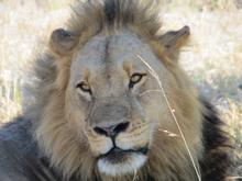 Trans-Afrika (Ost-West) 2013 - Foto 362