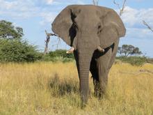 Trans-Afrika (Ost-West) 2013 - Foto 365