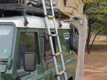 Trans-Afrika (Ost-West) 2013 - Foto 379
