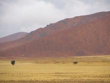 Trans-Afrika (Ost-West) 2013 - Foto 395