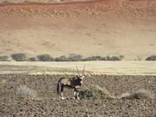 Trans-Afrika (Ost-West) 2013 - Foto 424