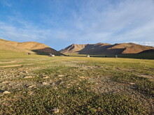 Mongolei 2023, Teil 1: Adler und Pferde, Westmongolei - Foto 135