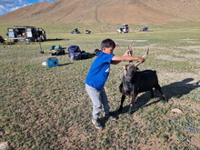 Mongolei 2023, Teil 1: Adler und Pferde, Westmongolei - Foto 137