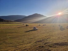 Mongolei 2023, Teil 1: Adler und Pferde, Westmongolei - Foto 138