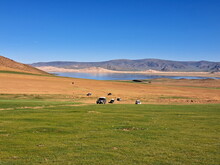Mongolei 2023, Teil 1: Adler und Pferde, Westmongolei - Foto 153