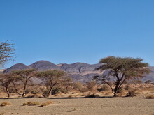 Orientalischer Frühling in Marokko 2024 (by ATW) - Foto 60