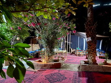 Orientalischer Frühling in Marokko 2024 (by ATW) - Foto 100