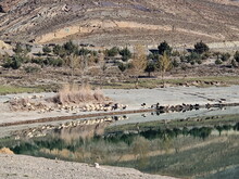 Orientalischer Frühling in Marokko 2024 (by ATW) - Foto 154