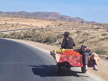 Orientalischer Frühling in Marokko 2024 (by ATW) - Foto 223