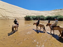Mongolei 2023, Teil 1: Adler und Pferde, Westmongolei - Foto 165