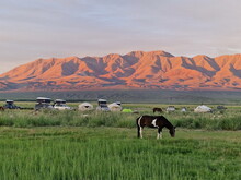 Mongolei 2023, Teil 1: Adler und Pferde, Westmongolei - Foto 180