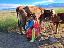 Mongolei 2023, Teil 1: Adler und Pferde, Westmongolei - Foto 182
