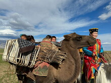 Mongolei 2023, Teil 1: Adler und Pferde, Westmongolei - Foto 190