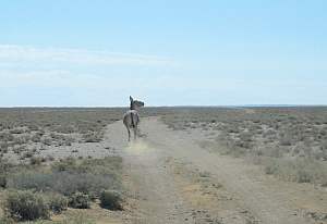 Silkroad - 2. Teil Irkurzk - Peking - Foto 100