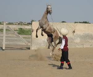 Silkroad - 4. Teil Turkmenistan - Schweiz - Foto 12