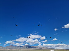 Mongolei 2023, Teil 1: Adler und Pferde, Westmongolei - Foto 202