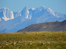 Mongolei 2023, Teil 1: Adler und Pferde, Westmongolei - Foto 217