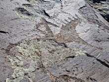 Mongolei 2023, Teil 1: Adler und Pferde, Westmongolei - Foto 225