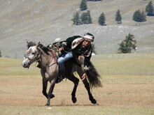 Mongolei 2023, Teil 1: Adler und Pferde, Westmongolei - Foto 268