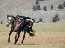 Mongolei 2023, Teil 1: Adler und Pferde, Westmongolei - Foto 269