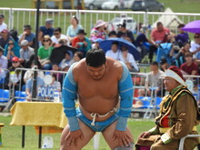 Mongolei 2023, Teil 1: Adler und Pferde, Westmongolei - Foto 19