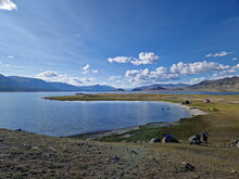 Mongolei 2023, Teil 1: Adler und Pferde, Westmongolei - Foto 288