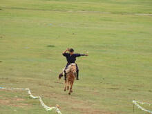 Mongolei 2023, Teil 1: Adler und Pferde, Westmongolei - Foto 30