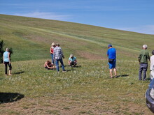 Mongolei 2023, Teil 1: Adler und Pferde, Westmongolei - Foto 54