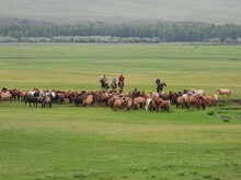 Mongolei 2023, Teil 1: Adler und Pferde, Westmongolei - Foto 74