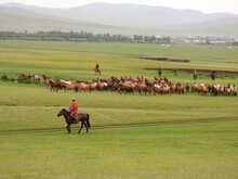 Mongolei 2023, Teil 1: Adler und Pferde, Westmongolei - Foto 75