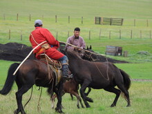 Mongolei 2023, Teil 1: Adler und Pferde, Westmongolei - Foto 78