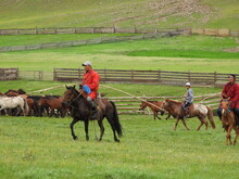 Mongolei 2023, Teil 1: Adler und Pferde, Westmongolei - Foto 79