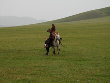 Mongolei 2023, Teil 1: Adler und Pferde, Westmongolei - Foto 88