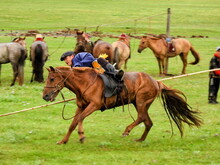 Mongolei 2023, Teil 1: Adler und Pferde, Westmongolei - Foto 89