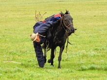 Mongolei 2023, Teil 1: Adler und Pferde, Westmongolei - Foto 90