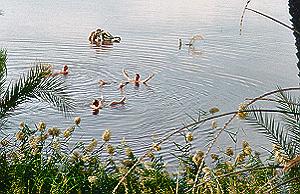 Fantastisches Tibesti (Dohone) - Foto 16